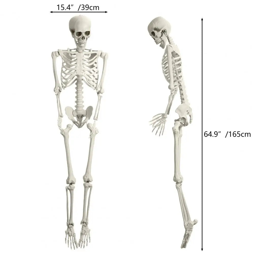 Poseable Plastic Skeleton Prop For Halloween Party Supplies