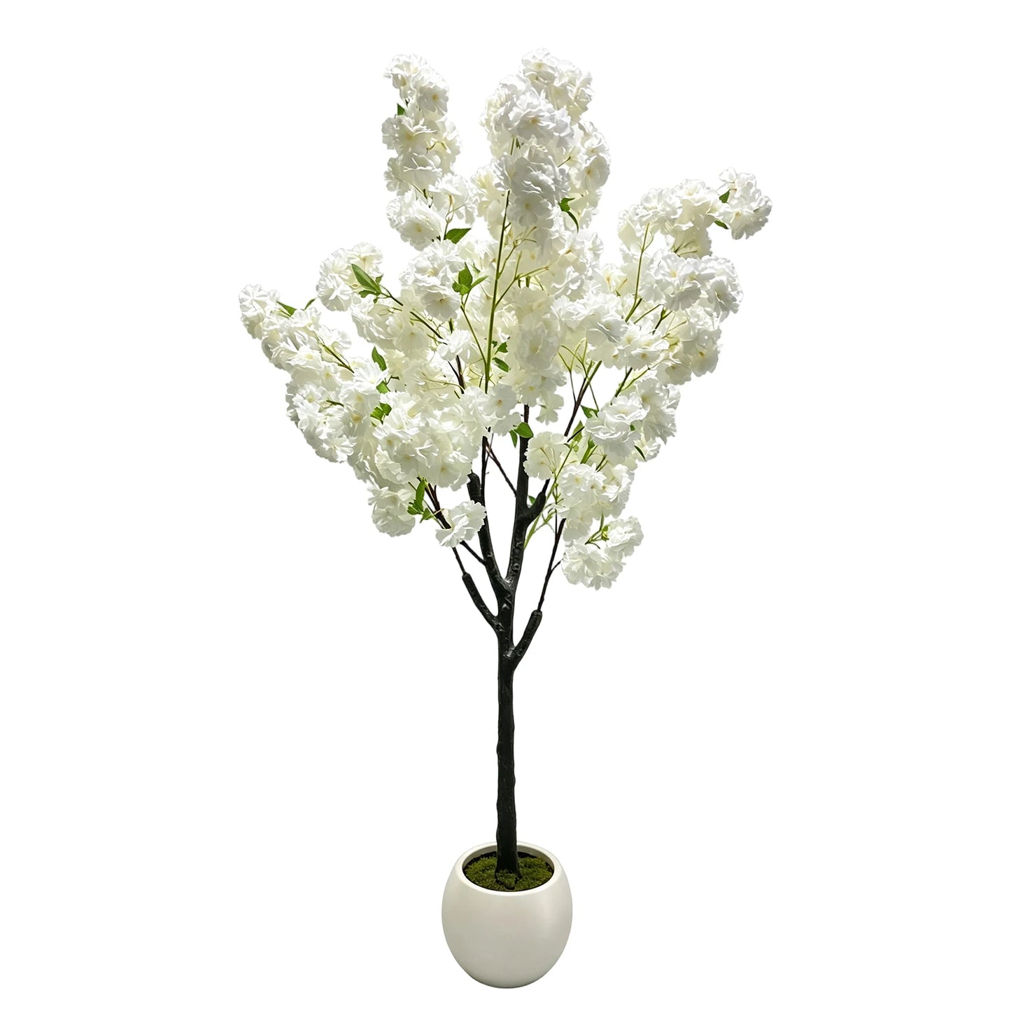 White Artificial Cherry Blossom Tree 5/6FT – Faux Silk Plant Potted, Lifelike Decorative Flower Tree for Indoor/Outdoor, Home, Office, Wedding, Party & Hotel