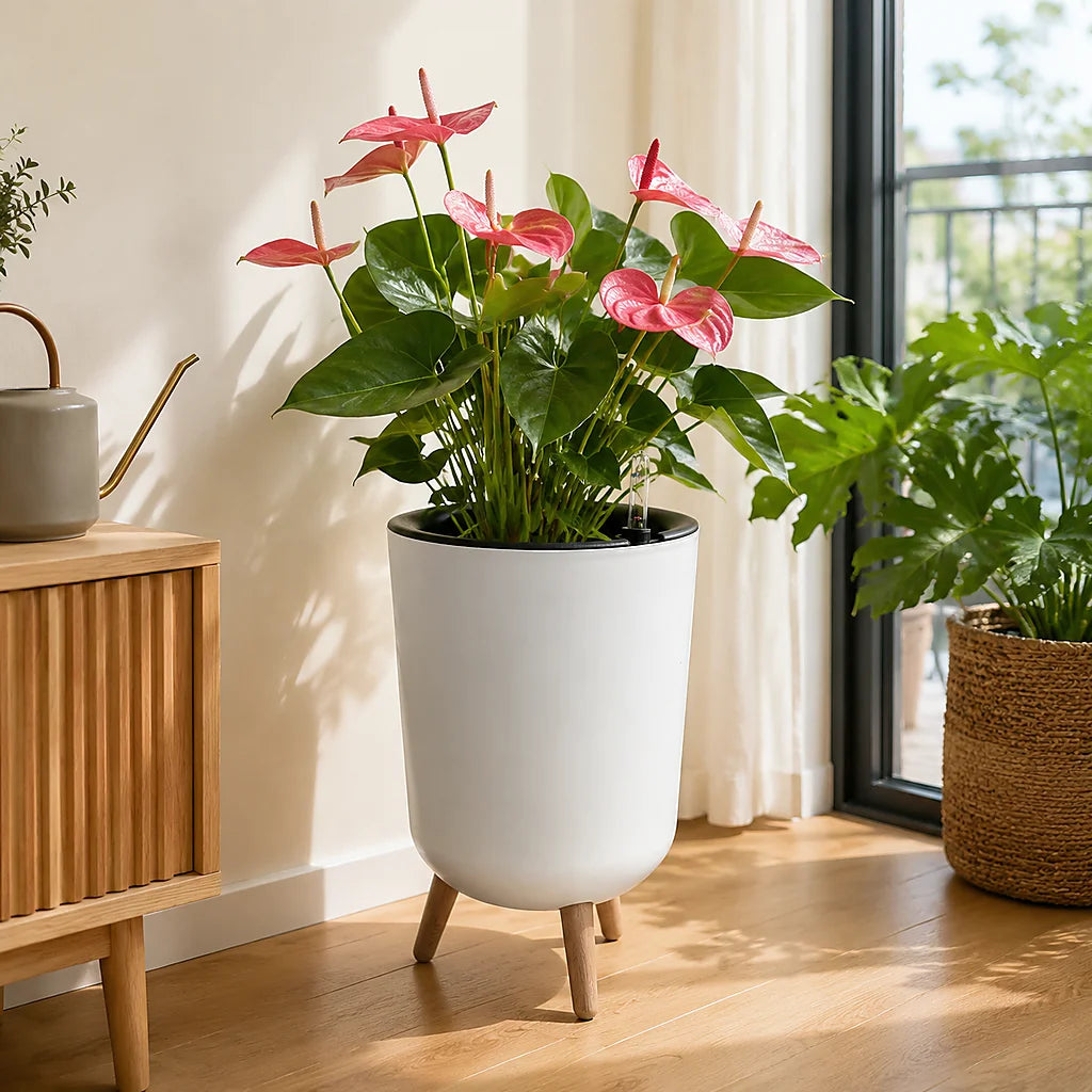Modern Self Watering Raised Planter With Water Level Indicator