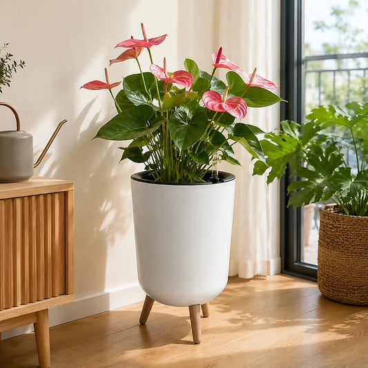 Modern Self Watering Raised Planter With Water Level Indicator